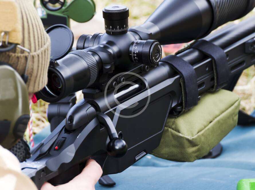 Hunting licenses: what you need to know today