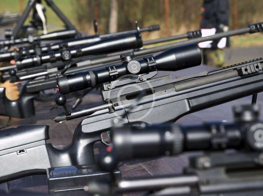 Shotgun vs. rifle: which weapon is better?