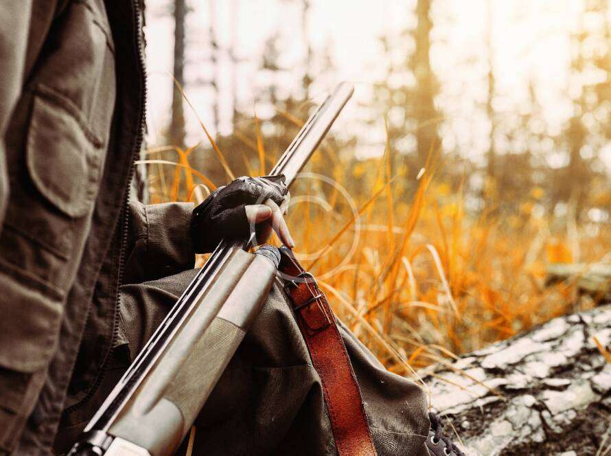 Bow hunting: a complete guide