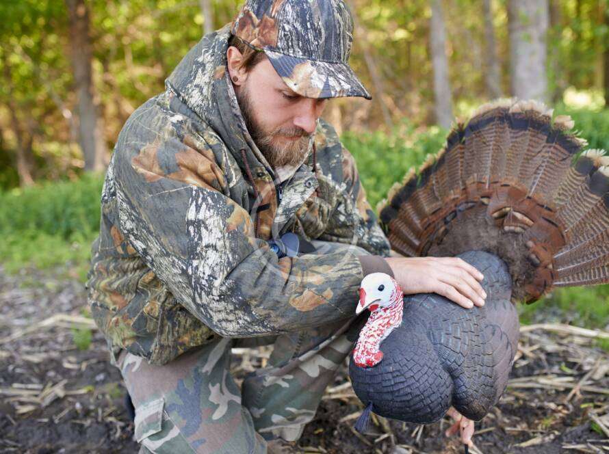 Bird hunting – goose, duck and turkey hunt tips