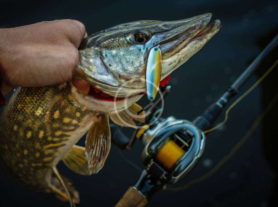 Top five fishing spots in North America