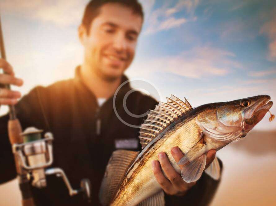 Spring fishing in freshwater vs. saltwater